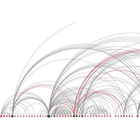 Arc diagram highlight